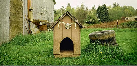 Steam《秦殇》中文版5分钟实机演示 今日解锁